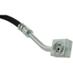 Purchase Top-Quality Front Brake Hose by CENTRIC PARTS - 150.67123 pa9