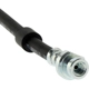 Purchase Top-Quality Front Brake Hose by CENTRIC PARTS - 150.67130 pa6