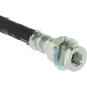 Purchase Top-Quality Front Brake Hose by CENTRIC PARTS - 150.79001 pa1