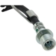 Purchase Top-Quality Front Brake Hose by CENTRIC PARTS - 150.85004 pa1