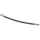 Purchase Top-Quality CORTECO - 19035149 - Brake Hose pa1