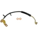 Purchase Top-Quality DORMAN/FIRST STOP - H380556 - Front Brake Hose pa1
