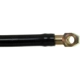 Purchase Top-Quality Front Brake Hose by DORMAN/FIRST STOP - H36846 pa4