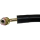 Purchase Top-Quality Front Brake Hose by DORMAN/FIRST STOP - H380195 pa1