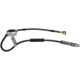 Purchase Top-Quality Front Brake Hose by DORMAN/FIRST STOP - H380295 pa4