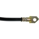 Purchase Top-Quality Front Brake Hose by DORMAN/FIRST STOP - H38491 pa3