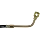 Purchase Top-Quality Front Brake Hose by DORMAN/FIRST STOP - H38817 pa1