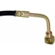 Purchase Top-Quality Front Brake Hose by DORMAN/FIRST STOP - H38869 pa2