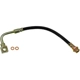 Purchase Top-Quality Front Brake Hose by DORMAN/FIRST STOP - H620066 pa1
