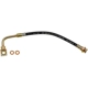 Purchase Top-Quality Front Brake Hose by DORMAN/FIRST STOP - H620067 pa2