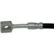 Purchase Top-Quality Front Brake Hose by DORMAN/FIRST STOP - H620263 pa2
