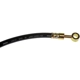 Purchase Top-Quality Front Brake Hose by DORMAN/FIRST STOP - H621298 pa2