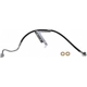 Purchase Top-Quality Front Brake Hose by DORMAN/FIRST STOP - H621606 pa3