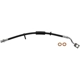 Purchase Top-Quality Front Brake Hose by DORMAN/FIRST STOP - H621756 pa1