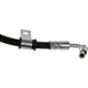 Purchase Top-Quality Front Brake Hose by DORMAN/FIRST STOP - H622113 pa1