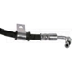 Purchase Top-Quality Front Brake Hose by DORMAN/FIRST STOP - H622113 pa4