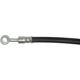 Purchase Top-Quality Front Brake Hose by DYNAMIC FRICTION COMPANY - 350-03007 pa5