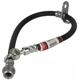 Purchase Top-Quality Front Brake Hose by MOTORCRAFT - BRHF33 pa10