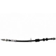 Purchase Top-Quality Front Brake Hose by MOTORCRAFT - BRHF55 pa4