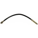 Purchase Top-Quality RAYBESTOS - BH36602 - Front Brake Hose pa17
