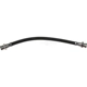 Purchase Top-Quality Front Brake Hose by RAYBESTOS - BH380034 pa1