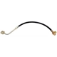 Purchase Top-Quality RAYBESTOS - BH380353 - Front Brake Hose pa18