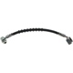 Purchase Top-Quality RAYBESTOS - BH381158 - Front Brake Hose pa15