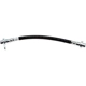 Purchase Top-Quality Front Brake Hose by RAYBESTOS - BH383623 pa1