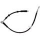 Purchase Top-Quality RAYBESTOS - BH383959 - Front Right Brake Hydraulic Hose pa1