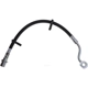 Purchase Top-Quality Front Brake Hose by RAYBESTOS - BH384331 pa1