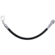 Purchase Top-Quality Front Brake Hose by RAYBESTOS - BH384357 pa1