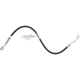 Purchase Top-Quality Front Brake Hose by RAYBESTOS - BH384519 pa1