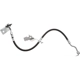 Purchase Top-Quality Front Brake Hose by RAYBESTOS - BH384520 pa1