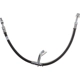 Purchase Top-Quality Front Brake Hose by RAYBESTOS - BH384526 pa1
