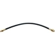 Purchase Top-Quality Front Brake Hose by RAYBESTOS - BH11146 pa12