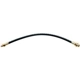 Purchase Top-Quality Front Brake Hose by RAYBESTOS - BH11146 pa2
