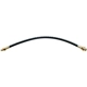 Purchase Top-Quality Front Brake Hose by RAYBESTOS - BH11146 pa4