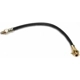 Purchase Top-Quality Front Brake Hose by RAYBESTOS - BH13589 pa11
