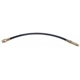 Purchase Top-Quality Front Brake Hose by RAYBESTOS - BH13841 pa2