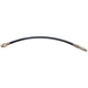 Purchase Top-Quality Front Brake Hose by RAYBESTOS - BH13841 pa4