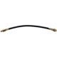 Purchase Top-Quality Front Brake Hose by RAYBESTOS - BH22700 pa13