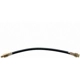 Purchase Top-Quality Front Brake Hose by RAYBESTOS - BH22700 pa14