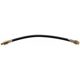 Purchase Top-Quality Front Brake Hose by RAYBESTOS - BH22700 pa2