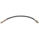 Purchase Top-Quality Front Brake Hose by RAYBESTOS - BH23807 pa2