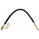 Purchase Top-Quality Front Brake Hose by RAYBESTOS - BH25664 pa2
