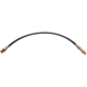 Purchase Top-Quality Front Brake Hose by RAYBESTOS - BH34466 pa4