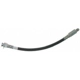 Purchase Top-Quality Front Brake Hose by RAYBESTOS - BH35009 pa2