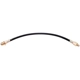 Purchase Top-Quality Front Brake Hose by RAYBESTOS - BH36090 pa10