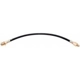 Purchase Top-Quality Front Brake Hose by RAYBESTOS - BH36090 pa2
