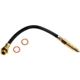 Purchase Top-Quality Front Brake Hose by RAYBESTOS - BH36503 pa2